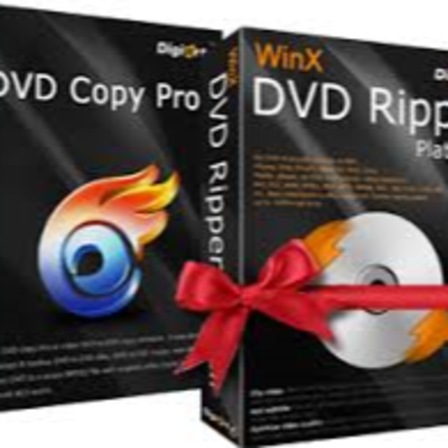 DVDFab12 AnyDVD WinX DVD Ripper Platinum スマホ/家電/カメラのPC/タブレット(その他)の商品写真