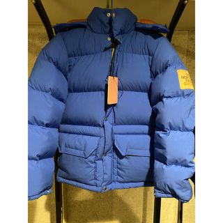 グッチ(Gucci)のGUCCI × THE NORTH FACE ダウンジャケット(ダウンジャケット)