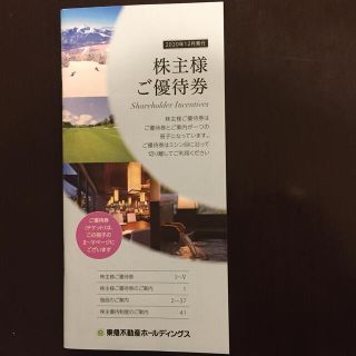 東急不動産ホールディングス 株主優待券(その他)