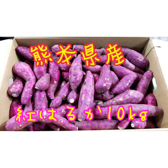 熊本県産紅はるか10kg 食品/飲料/酒の食品(野菜)の商品写真