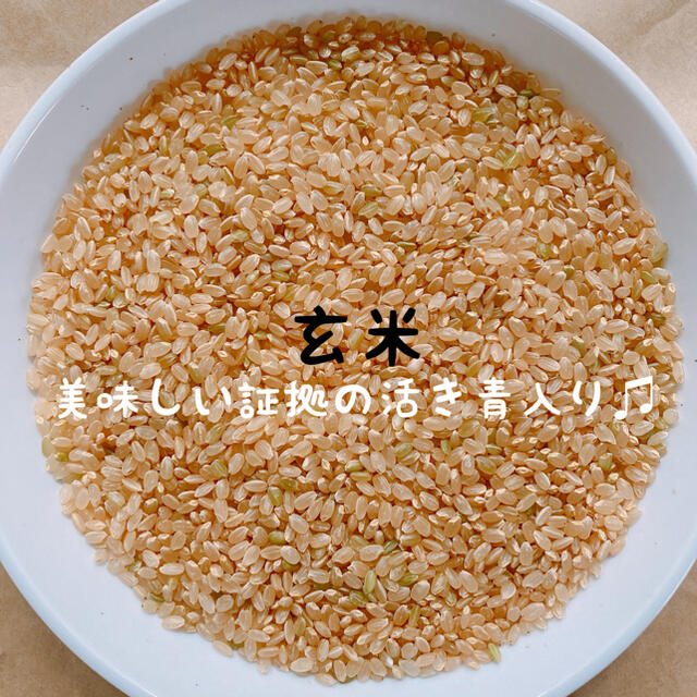 玄米20kg　プレミアムコシヒカリ　減農薬　特別栽培米　令和2年　有機肥料　米/穀物