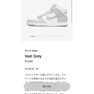 ナイキ(NIKE)のwin様専用 NIKE ダンク HIGH Vast Grey (スニーカー)