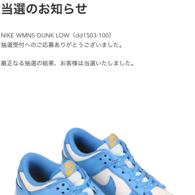 NIKE ダンクロー　コースト