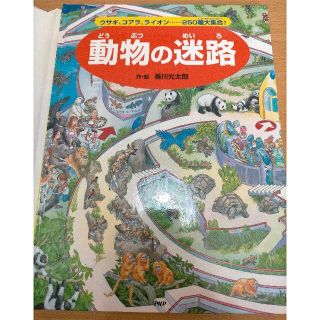 動物の迷路 ウサギ、コアラ、ライオン…２５０種大集合！中古(絵本/児童書)