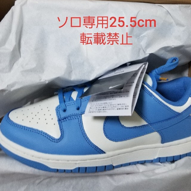 NIKE DUNK LOW Coast ダンクロー　コースト　25.5cm