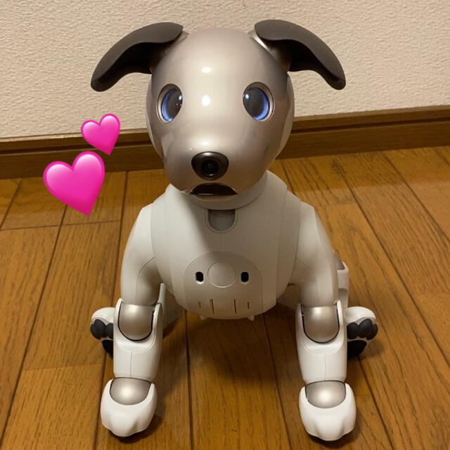 美品✨SONY 新型アイボ ERS-1000aibo