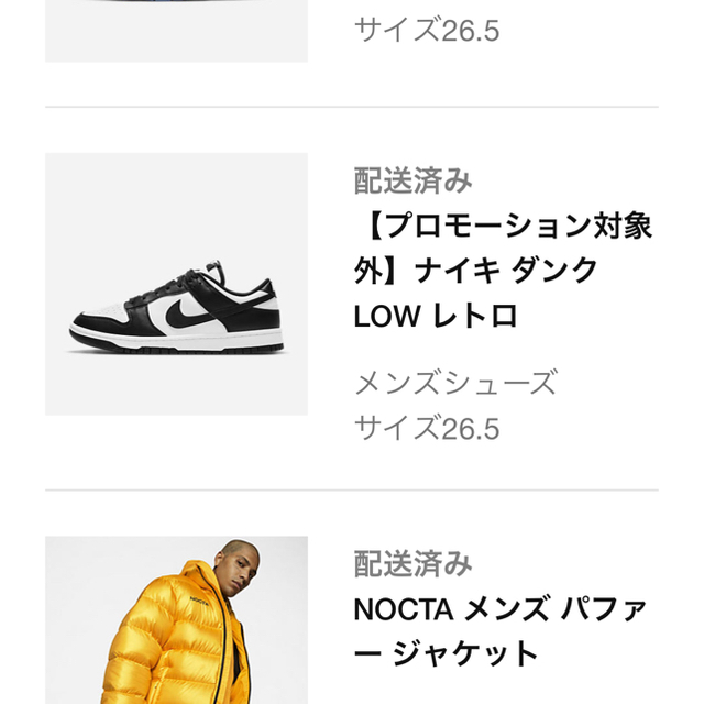 NIKE ダンクロー