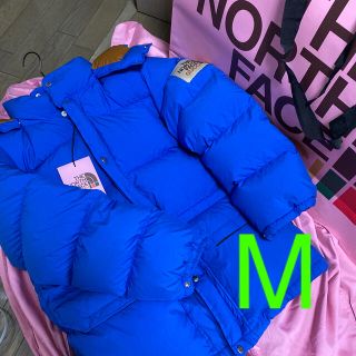 グッチ(Gucci)のgucci the north face ダウンジャケット M (ダウンジャケット)