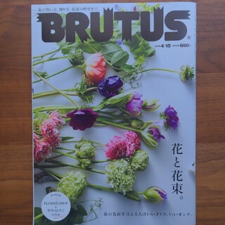 マガジンハウス(マガジンハウス)のBRUTUS (ブルータス) 2019年 4/15号(その他)