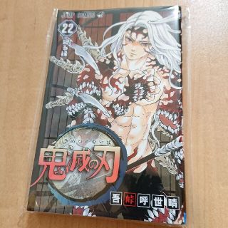 鬼滅の刃【22巻】(少年漫画)