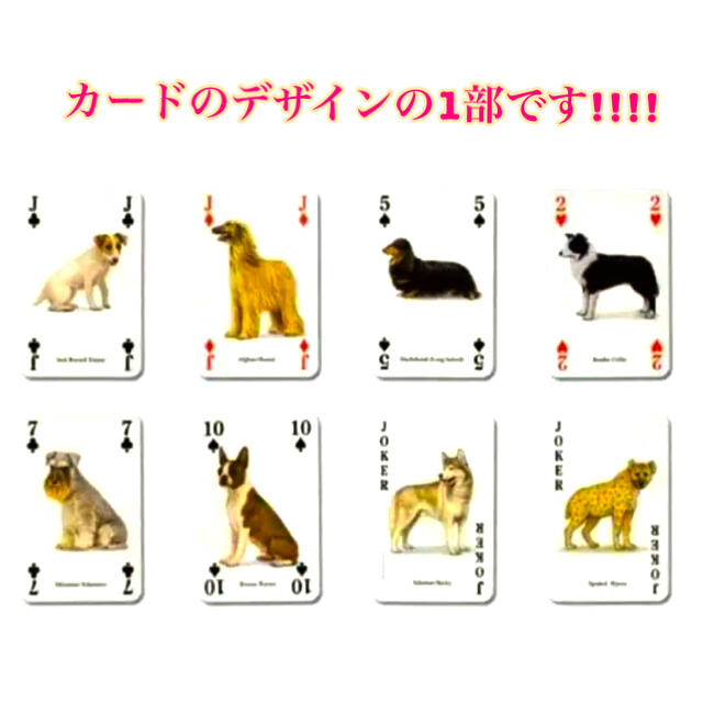 ゚トランプ Dog Of The World 世界の犬 ゚の通販 By もふもふ屋 ラクマ ゚トランプ Dog Of The World 世界の犬 ゚の通販 By もふもふ屋 ラクマ