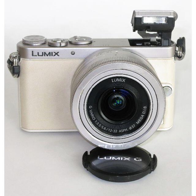 パナソニック　LUMIX DMC-GM1 ボディ　新品ケース付 1