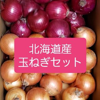 北海道産赤玉ねぎ【アーリーレッド】＋玉ねぎセット各５キロ　約１０キロ　訳あり品(野菜)