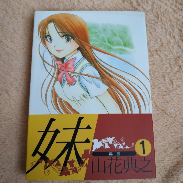 妹 １ エンタメ/ホビーの漫画(全巻セット)の商品写真