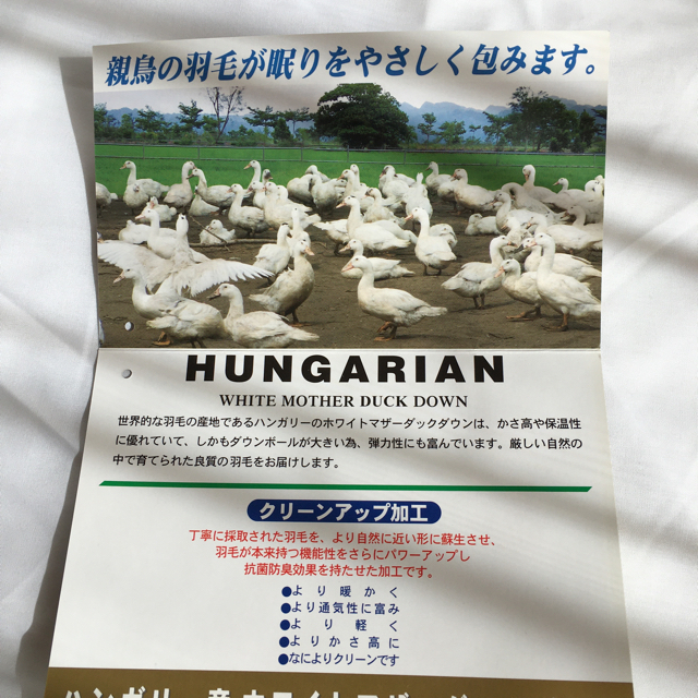 西川(ニシカワ)の羽毛布団シングル日本製（0.4kg） インテリア/住まい/日用品の寝具(布団)の商品写真