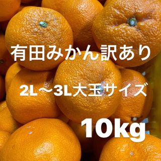 早生みかん訳あり　2L〜3L大玉サイズ　10kg入り‼️(フルーツ)