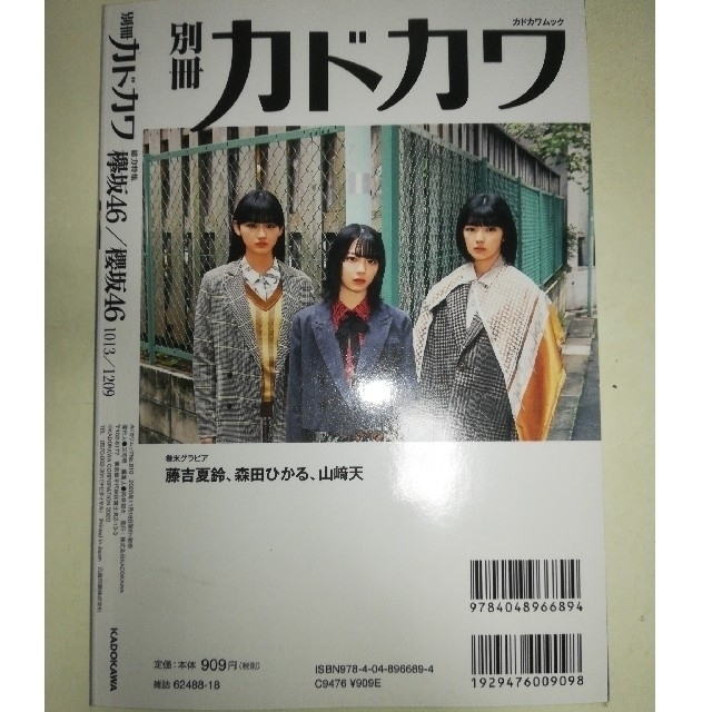 欅坂46(けやき坂46)(ケヤキザカフォーティーシックス)の別冊カドカワ総力特集欅坂４６／櫻坂４６ １０１３／１２０９ エンタメ/ホビーの本(アート/エンタメ)の商品写真