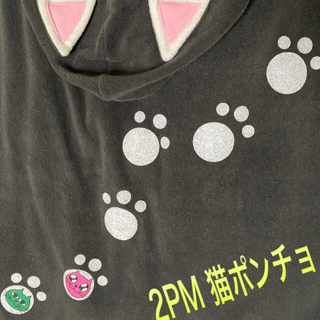 2PM 猫マント