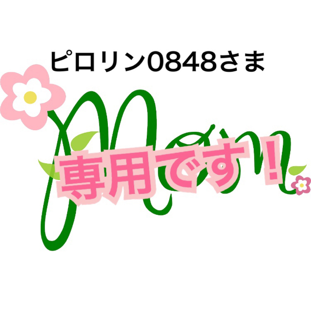 ピロリン0848さま専用です☆アイムピンチ セット