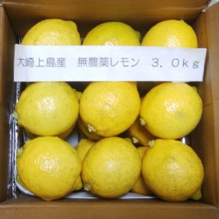 広島県大崎上島無農薬レモン　3kg(フルーツ)