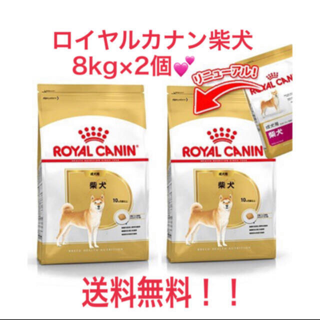 82％以上節約 ロイヤルカナン柴犬成犬用8kg×1袋