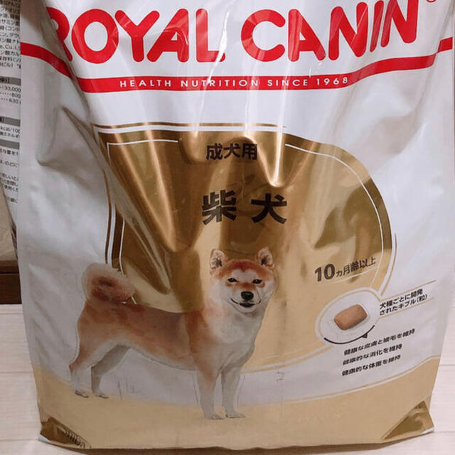 ください】 ROYAL CANIN - ラスト1点 ロイヤルカナン 柴犬 成犬8kg✕2