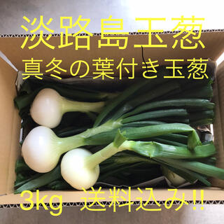 淡路島玉葱　真冬の葉付き玉葱　3kg✖️2箱(野菜)