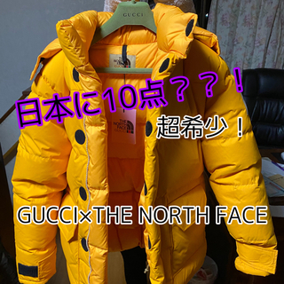 グッチ(Gucci)のGUCCI×THE NORTH FACE アウター(ダウンジャケット)