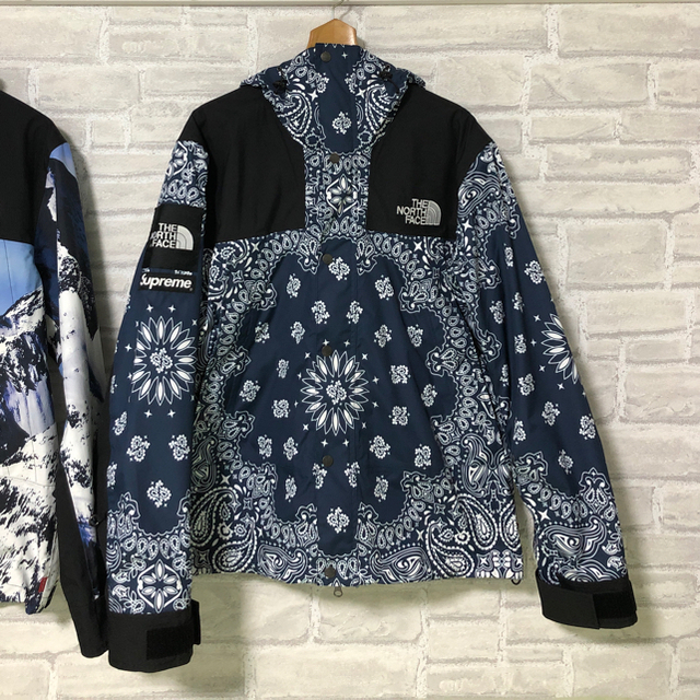 Supreme(シュプリーム)のSupreme TNF BANDANA MOUNTAIN PARKA Lサイズ メンズのジャケット/アウター(マウンテンパーカー)の商品写真