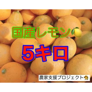 国産レモン5キロ(フルーツ)