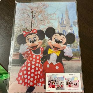 ディズニー(Disney)のミキミニ　旧顔　実写　クリアファイル(クリアファイル)