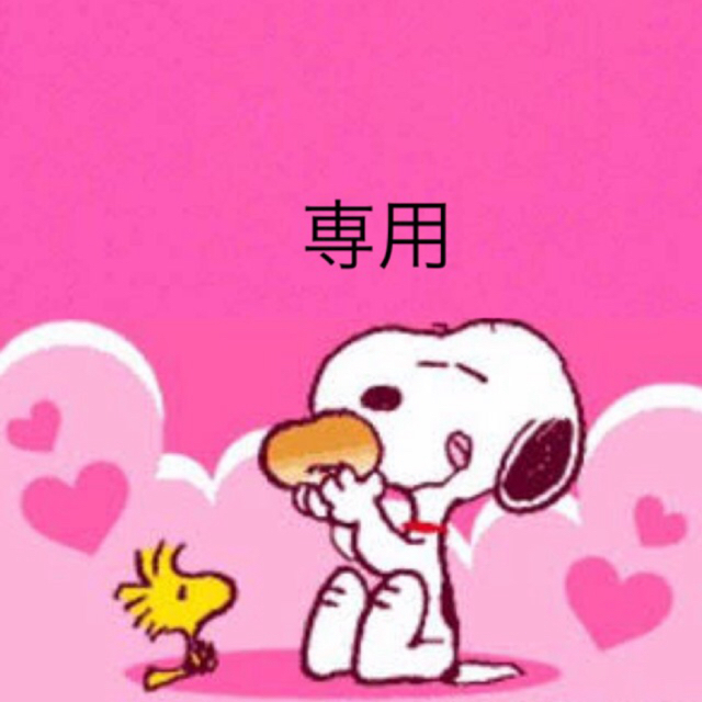 チャー様専用ページ✩ rondabalita.net