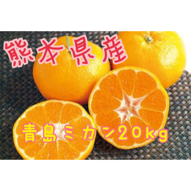 熊本県産青島ミカン20kg 食品/飲料/酒の食品(フルーツ)の商品写真