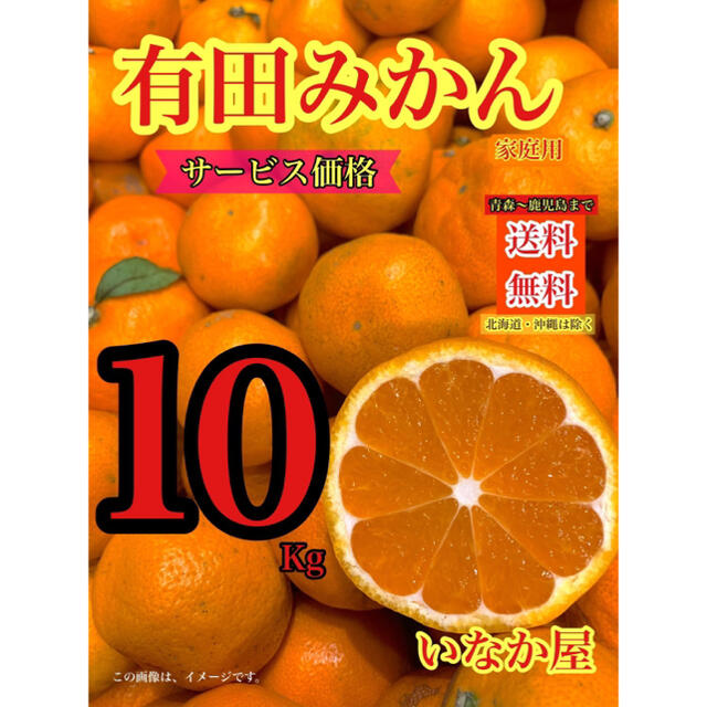 有田みかん　家庭用　セール10kg 残り3点　 食品/飲料/酒の食品(フルーツ)の商品写真