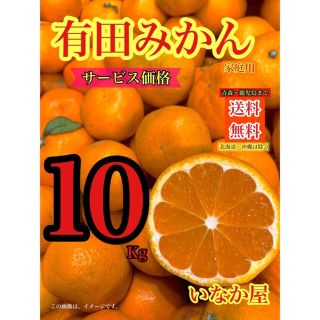 有田みかん　家庭用　セール10kg 残り3点　(フルーツ)