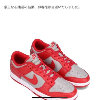 ナイキ(NIKE)の最安値ナイキダンクローlowラスベガスnike jordan supreme (スニーカー)