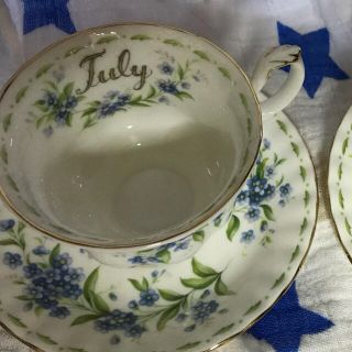 ロイヤルアルバート(ROYAL ALBERT)のROYAL Albert 予約済み(食器)