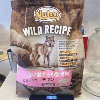 マース(MARS)のニュートロ ワイルドレシピ 成犬 チキン 超小型犬～小型犬 4kg ペットフード(ペットフード)