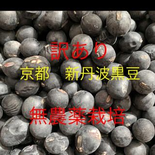 あかげのあん様専用　訳あり　新丹波黒豆　無農薬栽培　1.5キロ(野菜)
