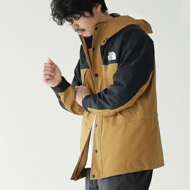 THE NORTH FACE(ザノースフェイス)の⭐️新品タグ付き⭐️ ノースフェイス マウンテンライトジャケット メンズのジャケット/アウター(マウンテンパーカー)の商品写真