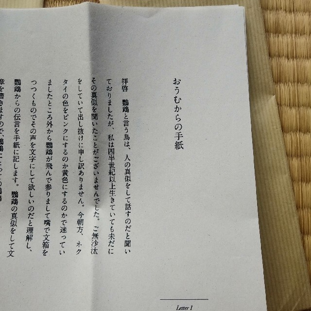 手紙小説 2セット　下り坂/おうむからの手紙 エンタメ/ホビーの本(文学/小説)の商品写真