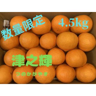 みかん　つのかがやき　4.5kg　佐賀県　唐津産　ミカン(フルーツ)