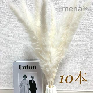 新春セール♡ 即購入◎ ホワイトパンパスグラス10本★(ドライフラワー)