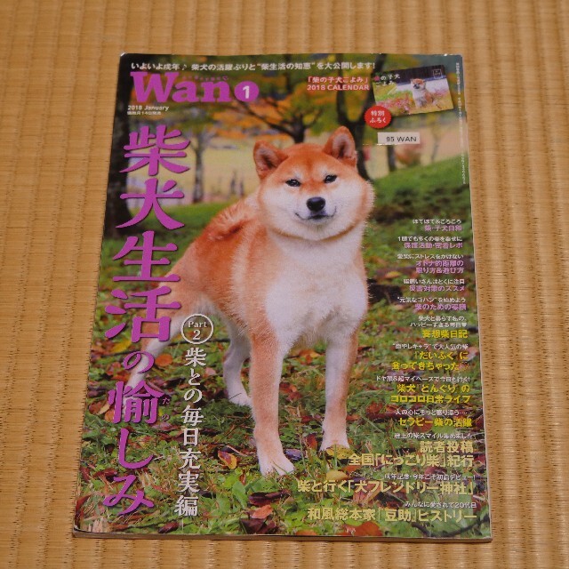 雑誌☆Wan　2018年1月号　柴犬生活の愉しみ エンタメ/ホビーの雑誌(専門誌)の商品写真