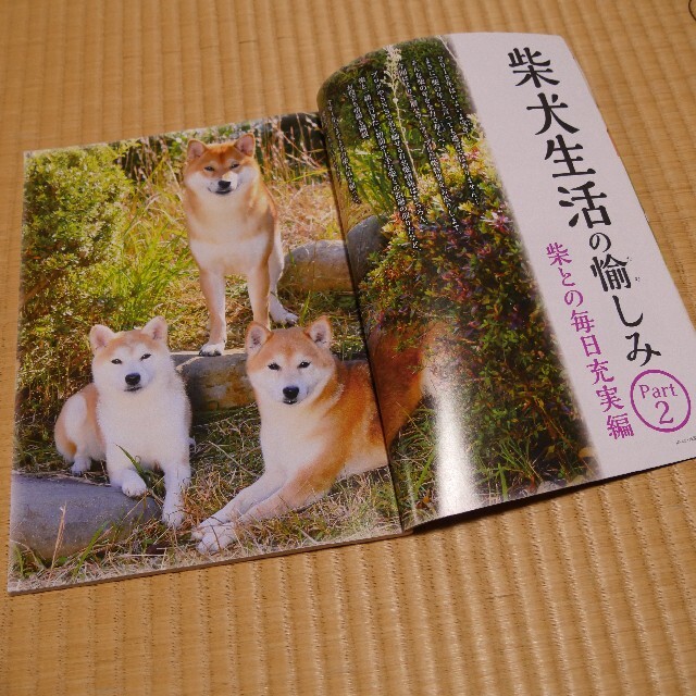 雑誌☆Wan　2018年1月号　柴犬生活の愉しみ エンタメ/ホビーの雑誌(専門誌)の商品写真