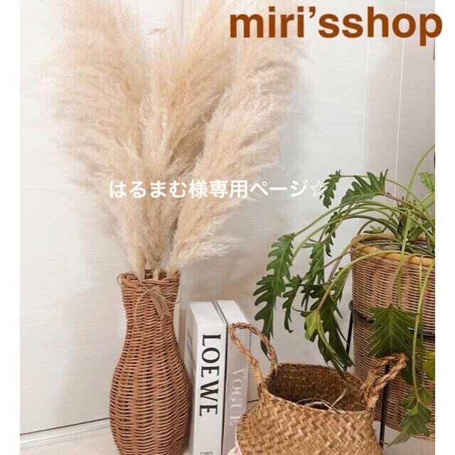 新製品 パンパスグラス An様専用ページ 生産流通上 ハンドメイド 日用品 インテリア Www Murad Com Jo