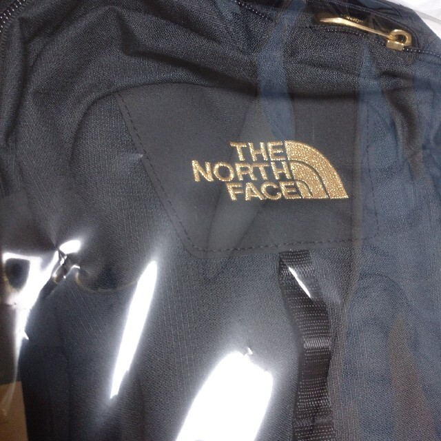 THE NORTH FACE(ザノースフェイス)の【新品】★限定カラー★ノースフェイス　リュックサック　26L　NM72006BG メンズのバッグ(バッグパック/リュック)の商品写真