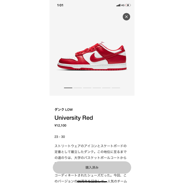 DUNK Low  ユニバーシティレッド