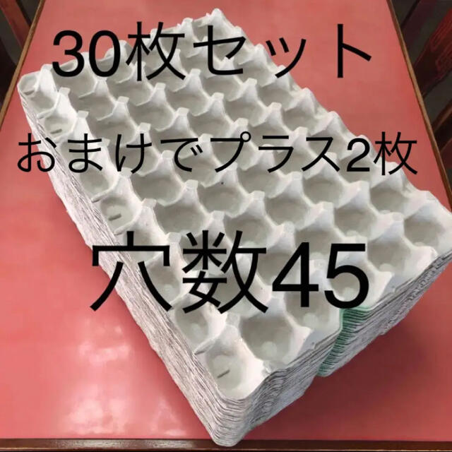 たまご ケース パック 紙　おまけ付き その他のペット用品(爬虫類/両生類用品)の商品写真