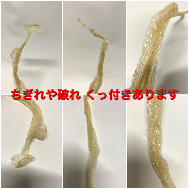 白蛇 蛇抜け殻 脱皮 一本抜け殻 100cm その他のペット用品(爬虫類/両生類用品)の商品写真